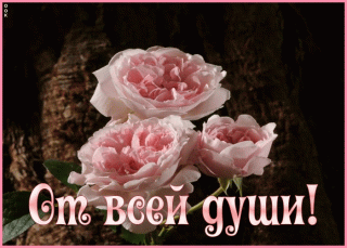 pleykast-s-rozami-ot-dushi-147