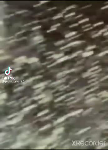 7a2b393626d527c597bc1b15dbdb0c2d