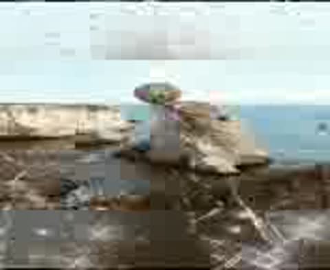 VID-20210318-WA0039-_im