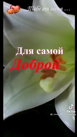 VID-20210318-WA0042-_im