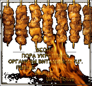 vesna-pora-ukreplyat-anizm-vitaminom-c-pivce-vince-shashlyce