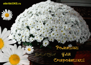 3ad50782d9bdd87195c8114b59db1bfb