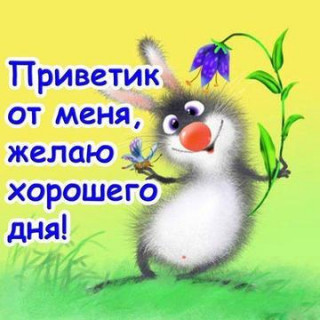 kartinki-i-otkrytki-privet-privetik-zdraste-6-7-width360