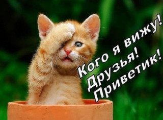 zdravstvujte-krasivye-kartinki-38