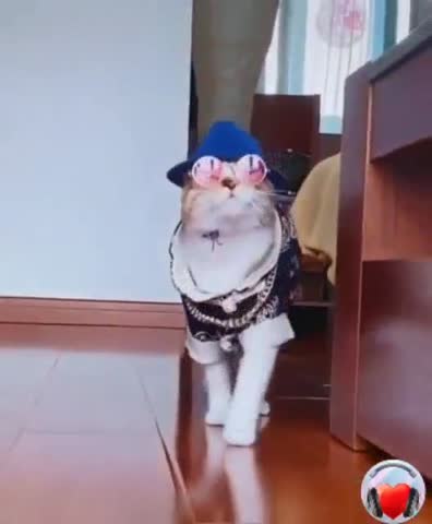 video-e86246498b0cedc899241f0bf520b8c7-V