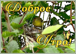 kartinka-dobroe-utro-s-ptichkami-3673