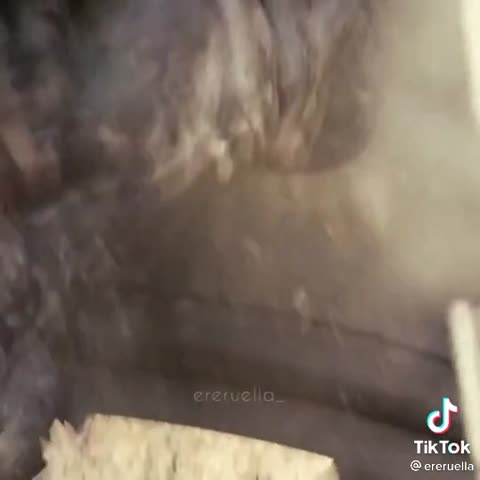 baa50987fac3a8904afd84fb041d2c74