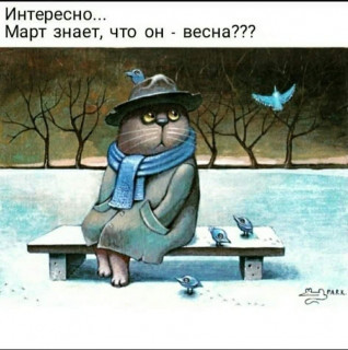 intellectymor-___CMt-RpXj44v___-