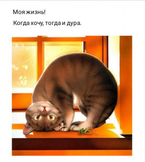 moimir_j-___CMwZMvdHBkU___-