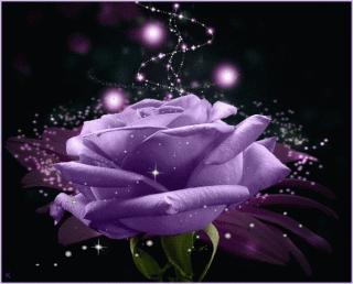 image_862701161202576606707