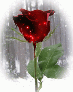 69658a172dc47b8dd9e1d9a3372ee7fe