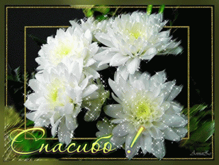 4c10490cab2e2e19e50ac9e396766b39