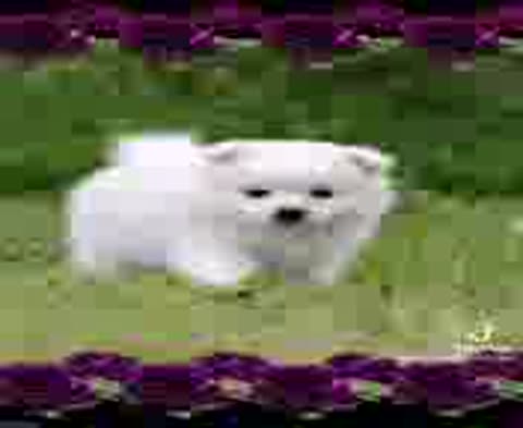 Krasivaja_muz_otkrytka-_im