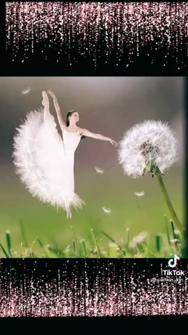 24208cb397b598bf0071edd77827c594