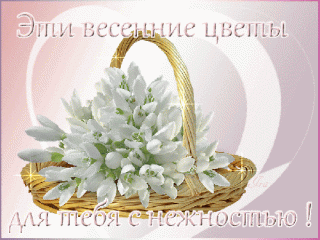 eti-vesennie-cvety-dlya-tebya-s-nezhnostyu