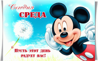 Среда
