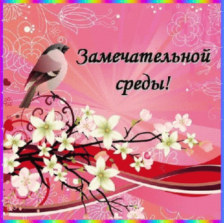 Среда2
