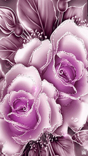 photo_purplerose_5xrrtr31_gif