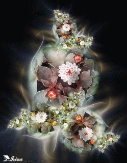 aae123743c0dc6b6febef946d61b2ba6