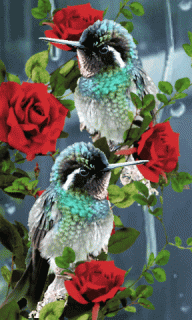 99cb5a6dd74ce5e1f2b44be5c8d9a5a7