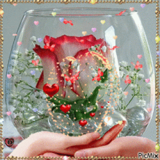 d260e70bb7c5f1647a600ad37ba9d34c