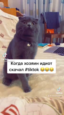 d6d0333b1bf2696d94ddcbea12272bf2