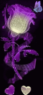 102b58849a37245590032a3fc362b8cc