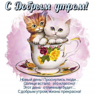tatiana_4834-___CNEMdWtJt0h___-