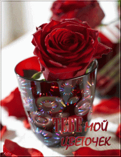 630e99942e519597d20f728746d3e4ab