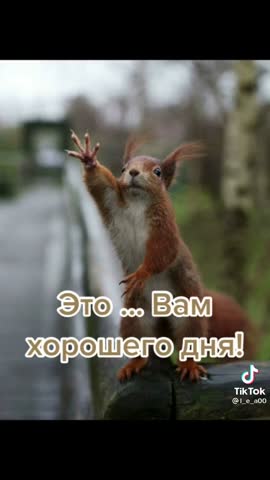 cab68cafbdc2785baadc514631fc09bc