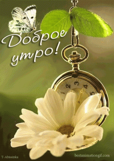 36ff0fb812b95058a15e164491108c62