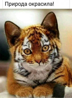 147