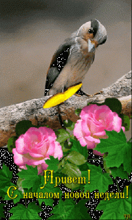 b10117692b0143e43fd71741f089f59a