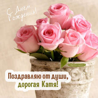 с др катя