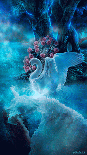 e089e891b8754072b557c0e22e48701c