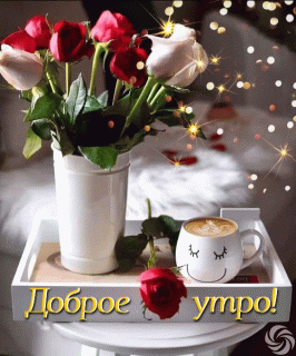 3c4d5590d6459e00d6bae6a6cca1bde6