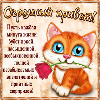 OLsf0jLFmAI