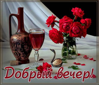 8qFkUd2Opys