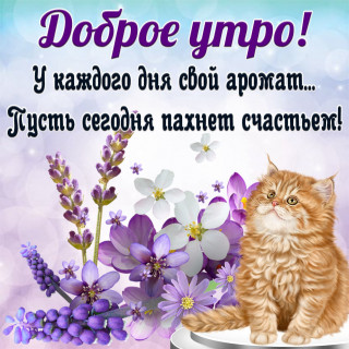 JvHTZEBjwIY