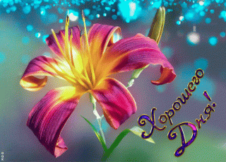 otkrytka-gif-khoroshego-dnya-63498