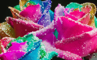 image_861507151734081176782