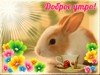 foto-9-gif-s-dobrym-utrom