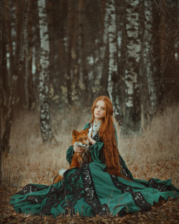 1-the-foxes-anastasiya-dobrovolskaya
