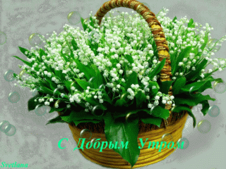 s-dobrym-utrom-otkrytki-s-dnem-rozhdeniya-vesennie-cvety