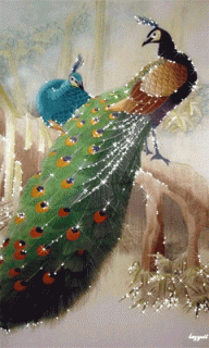 d092b1d11faf1f285be2976a852a9d9a