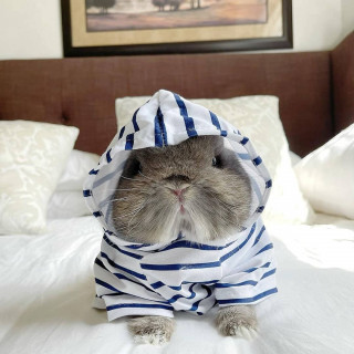 bunnylovers_co-___CNXdRlhlIe7___-