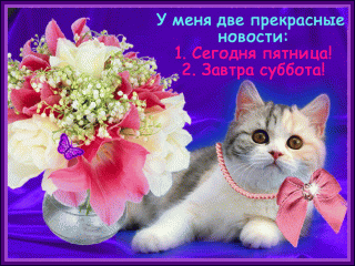 c3cb3a89c8496258702b9736603fba39