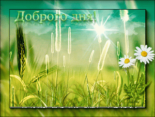 74685852386b879e04c48cadf475ed9c