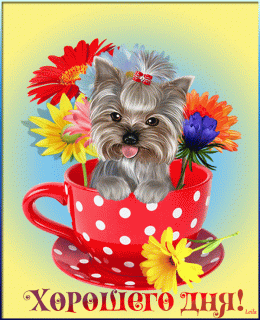 a4938385562c83a9ad926018b484d52e