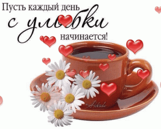 Fорева_BCyB0X191z